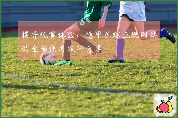 提升观赛体验，德甲买球正规网站的全面使用技巧分享