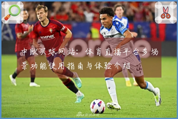 中欧买球网站：体育直播平台多场景功能使用指南与体验介绍