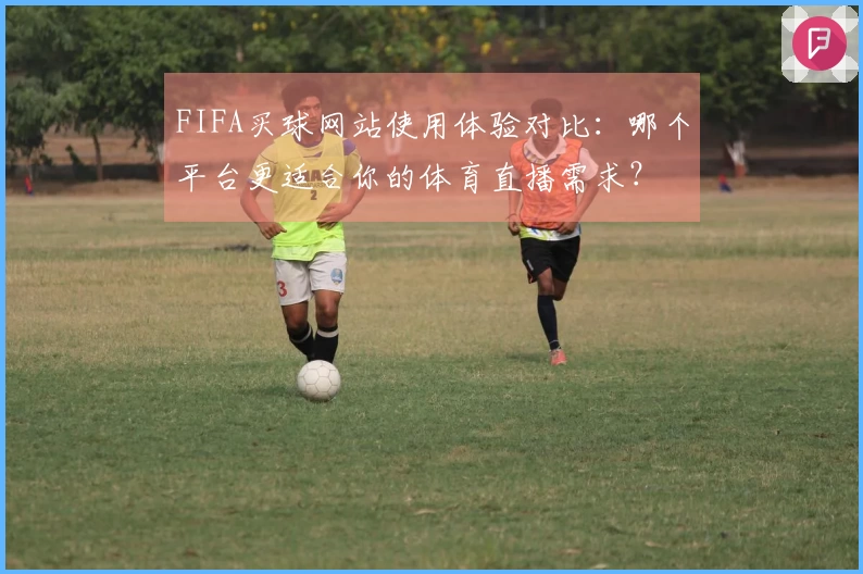 FIFA买球网站使用体验对比：哪个平台更适合你的体育直播需求？