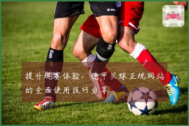 提升观赛体验，德甲买球正规网站的全面使用技巧分享